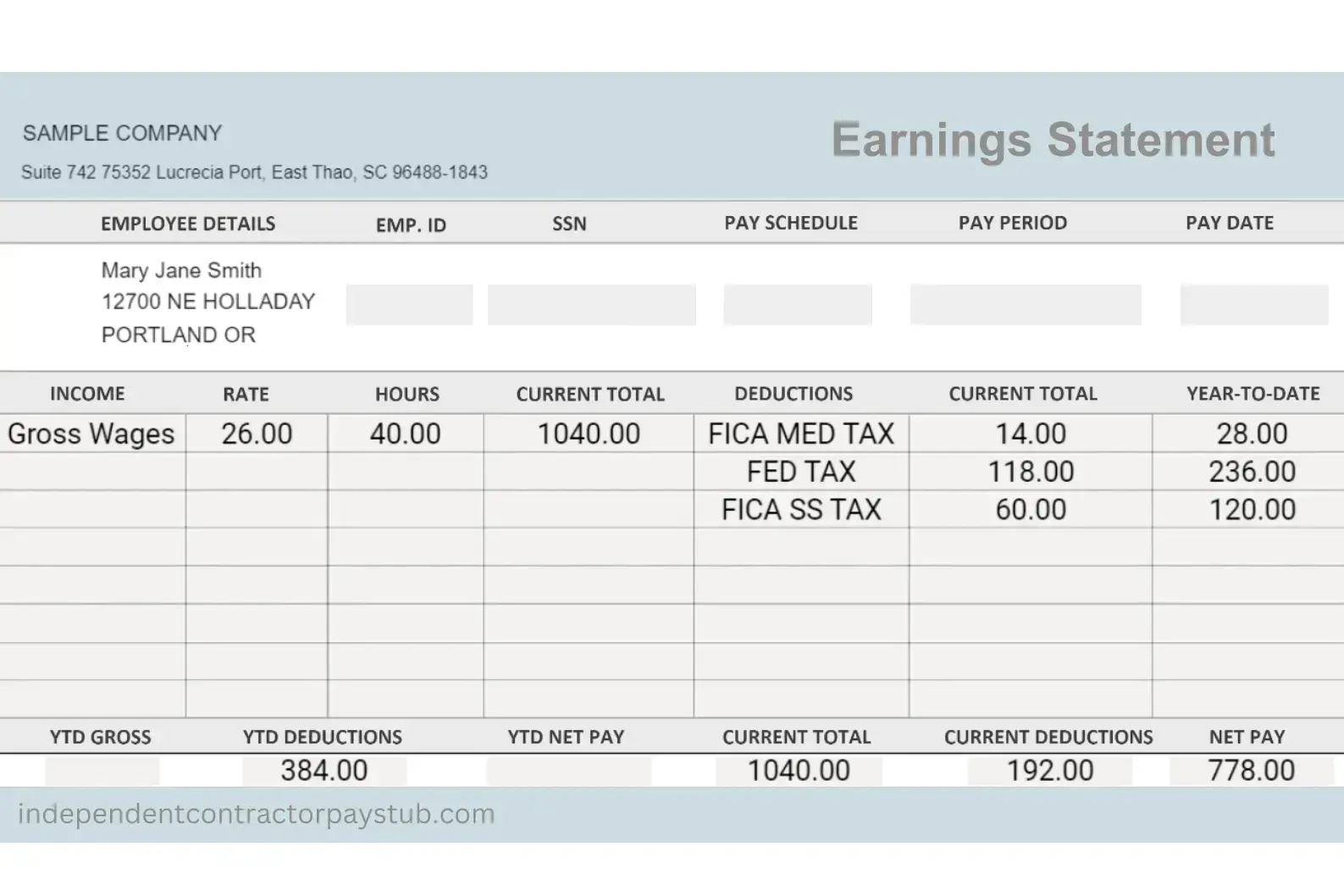 Independent Contractor Pay Stub